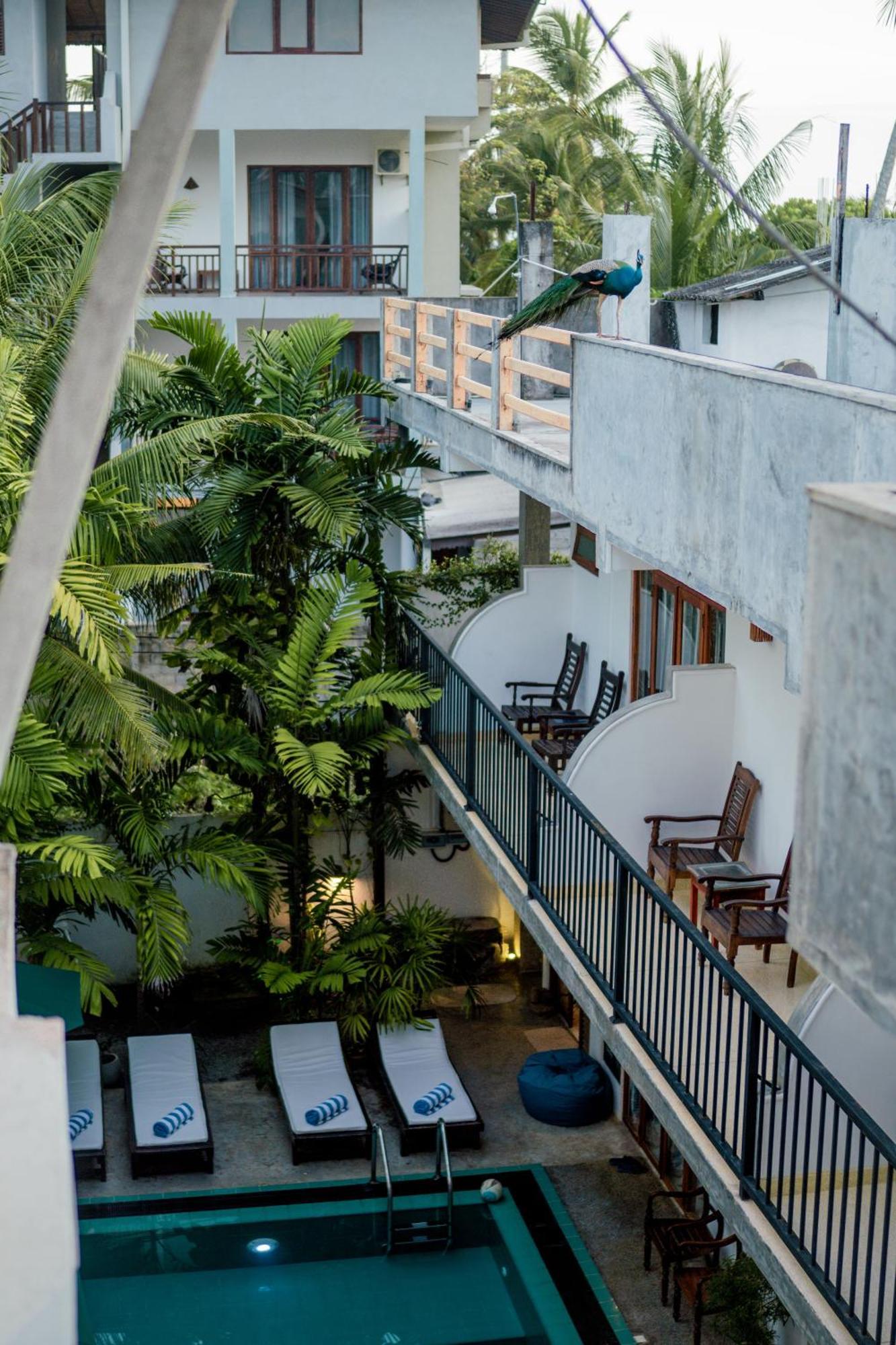 Bienvenido Cozy Madiha Hotel Matara Exterior foto